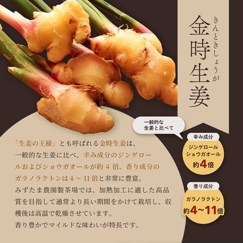 温活小町 金時生姜茶 和紅茶 ほうじ茶 ギフトセット 2袋